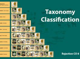 Denial & Rejection CO 8: Due to Taxonomy Code